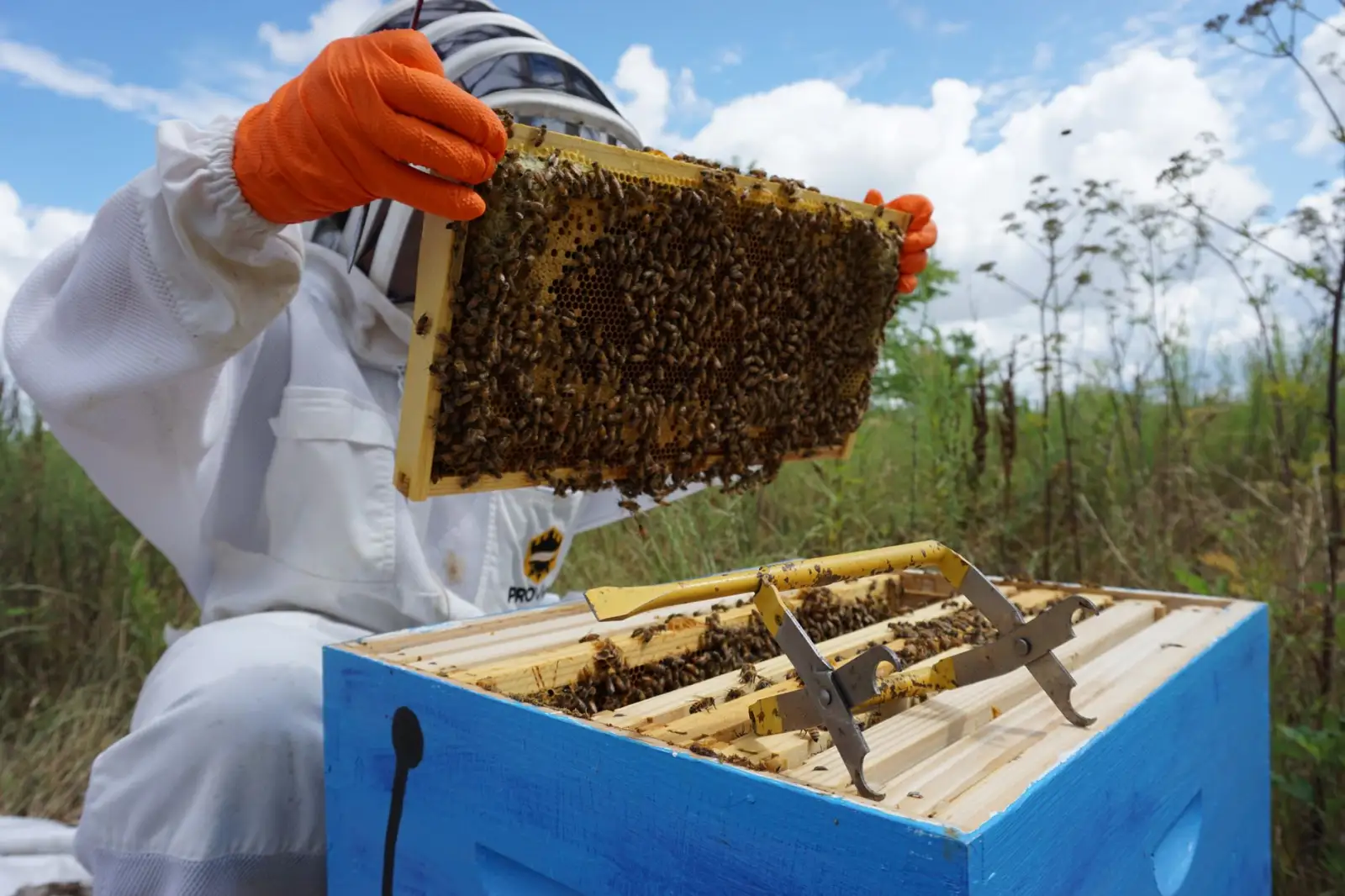 不锈钢餐具表面处理技术对比：抛光与拉丝工艺分析
