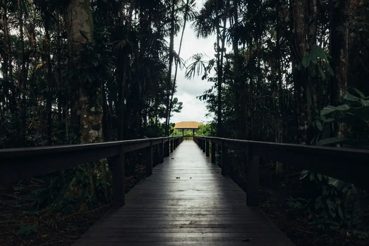 华中地区餐饮业餐具选型方案：竹木筷子与合金筷子的适配场景